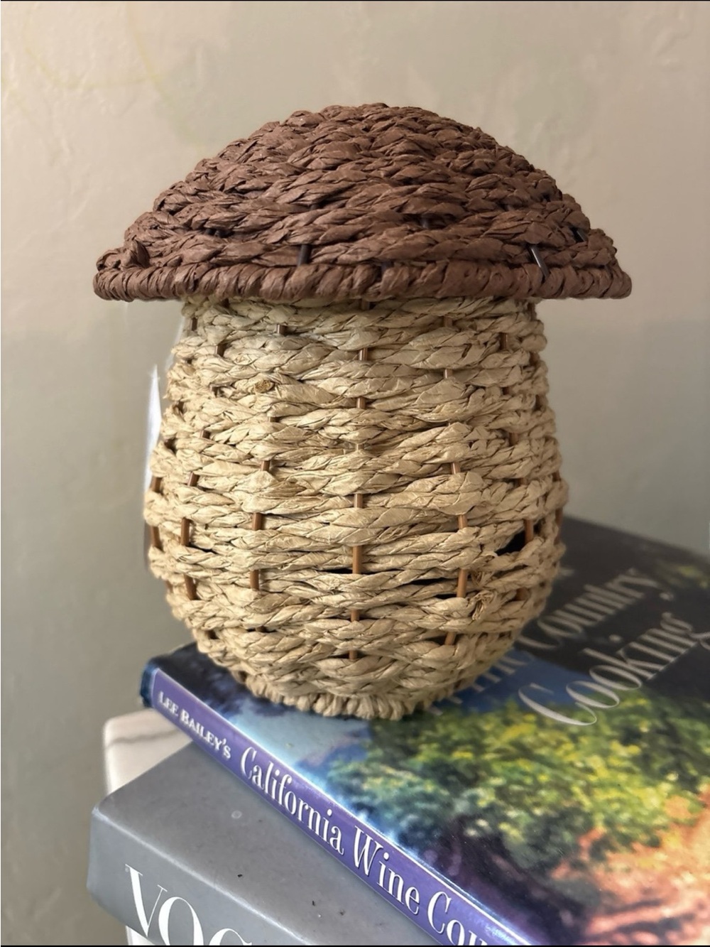 Target Bullseye playground mushroom storage basket